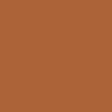 ETAC Paint  - PSOP 210 Teddy Bear Brown