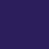 ETAC PRIVATE STOCK Paint - PSTR 109 Carbazole Violet